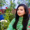 pushpitabeautifulcollect