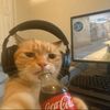 yourpookieismine444