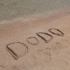 dina1398moh