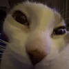 val_pho