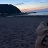 alishawatson78