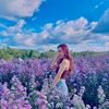 netty_ja