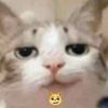 teaicedarizona