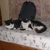 alejandrochr2