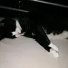lenny.200022