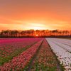 sunsets3076