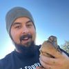 crows_collections