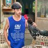 darun252729