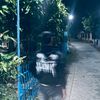 mzwardanii_