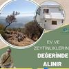 alikalkancan