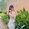hoebaniudoi