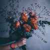 mamlo7ah_1410