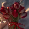 khoolk7