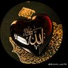 hmemon076