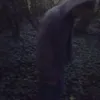 dnkyw0