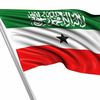 somaliland844