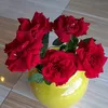 thaoluu_92