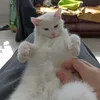 trudovik_nikolay