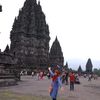 dinaapiliyani1