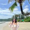 nan_nyy11