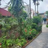 trang28283
