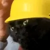 pompibu