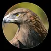 mohamedmaher703
