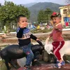 anhvan971720