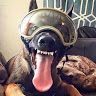 cowboyk9
