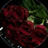 mohammedkhader608