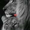 megh_youma1