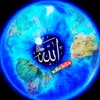 ibrahimmustafa187