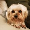 leelee004