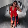 aylinsipi