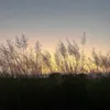 bluemoon_3098