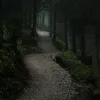 thisangii