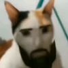 crazyshi18