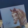 majed9137