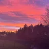 nhewitt_1406