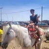 fatimaelfadili5