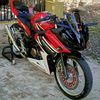 bintxx04
