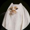 anonymous19992025