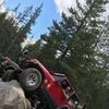 williamsteen11