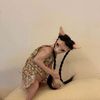 ravinkitty
