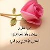 lolo65438