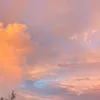miaisamango