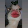 selena_dalam