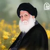 saifaliahshef