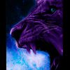 barcafan.............11