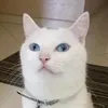 nadiakhili